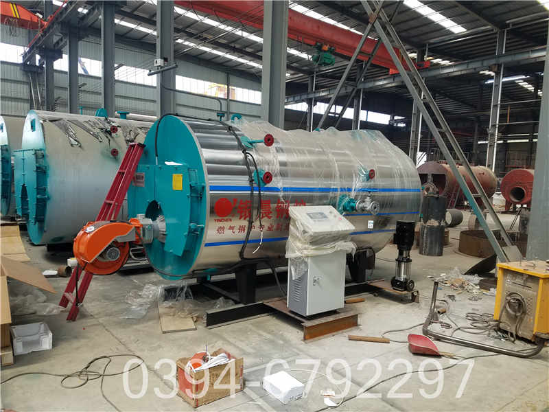 我是燃煤导热油炉(图2)