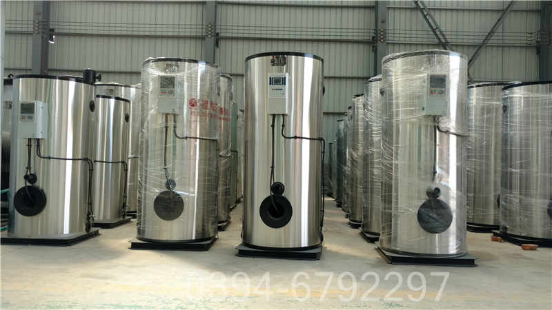 天燃气蒸汽炉(图3)