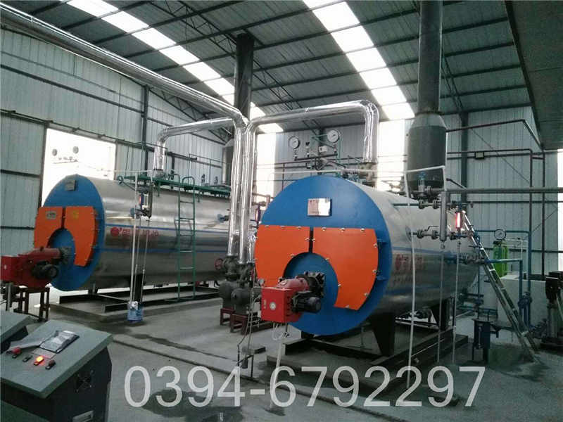 双燃料蒸汽锅炉(图1)