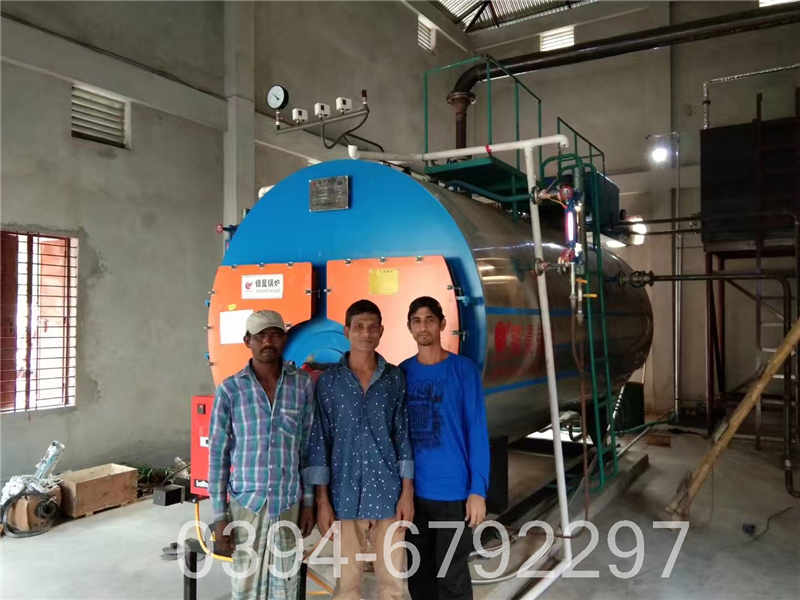 颗粒蒸汽锅炉(图3)