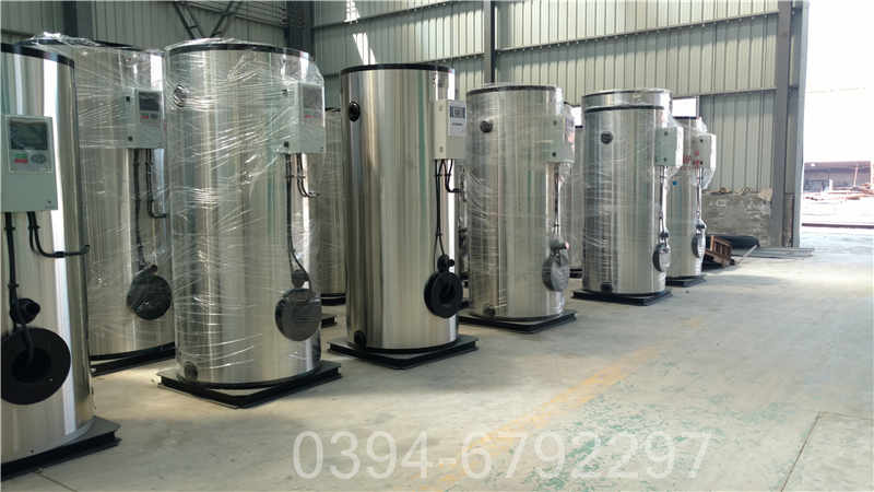 7吨燃气蒸汽锅炉(图3)