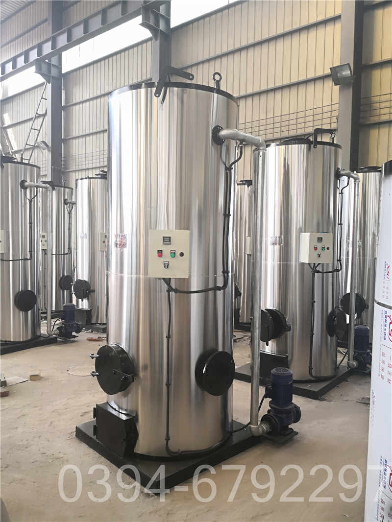 25吨燃煤蒸汽锅炉(图2)