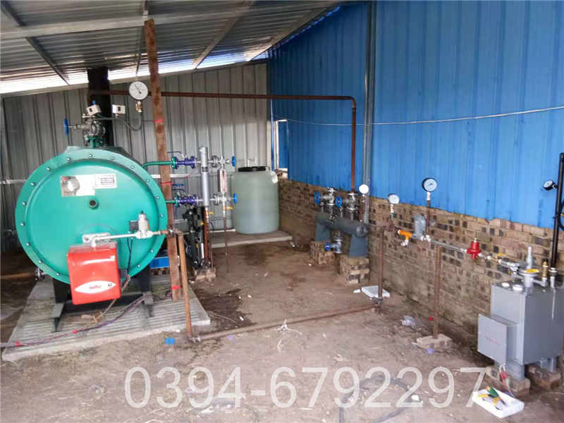 15吨生物质蒸汽锅炉(图1)