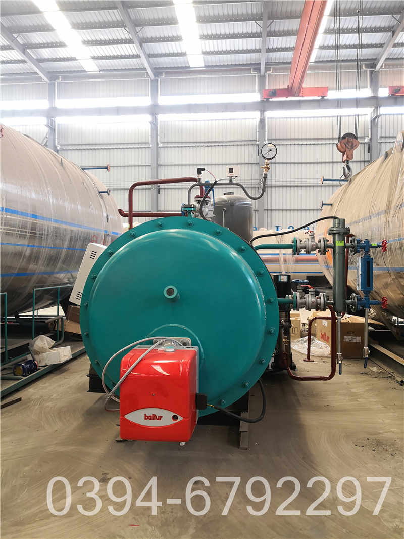 15吨生物质蒸汽锅炉(图2)