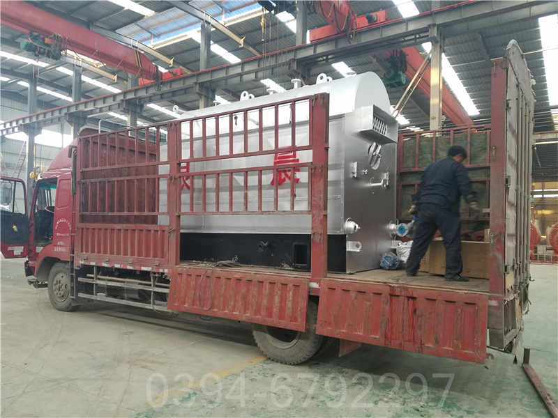 20吨冷凝蒸汽锅炉(图3)