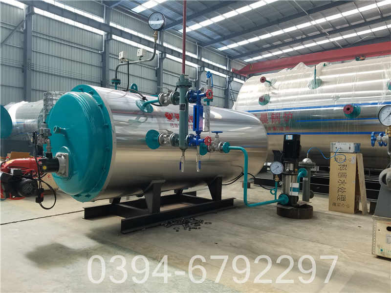 20吨热水锅炉(图2)