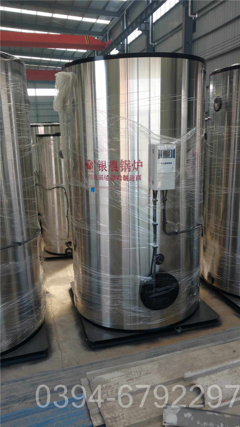 六吨燃气锅炉(图3)