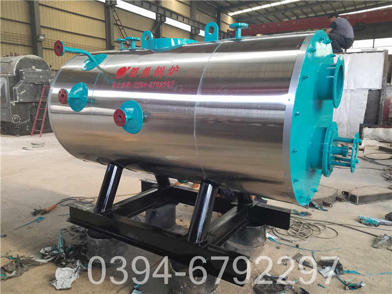 12吨环保蒸汽锅炉(图2)