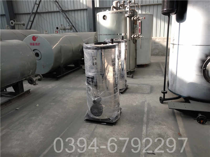 燃气小锅炉(图1)