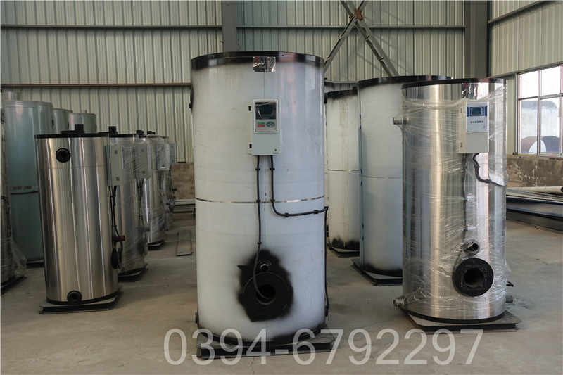 最小的热水锅炉(图2)