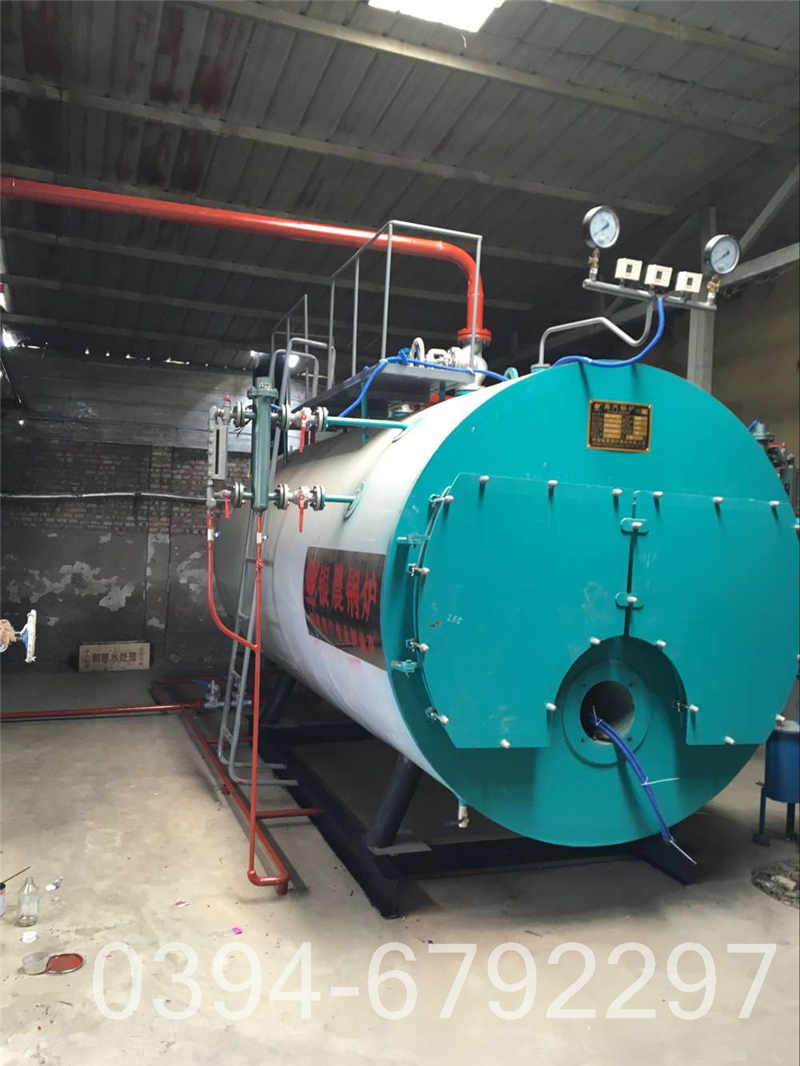 燃气热力锅炉(图3)