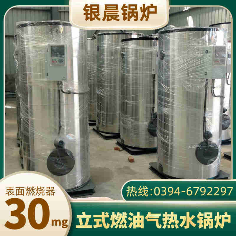 一顿燃气锅炉(图1)