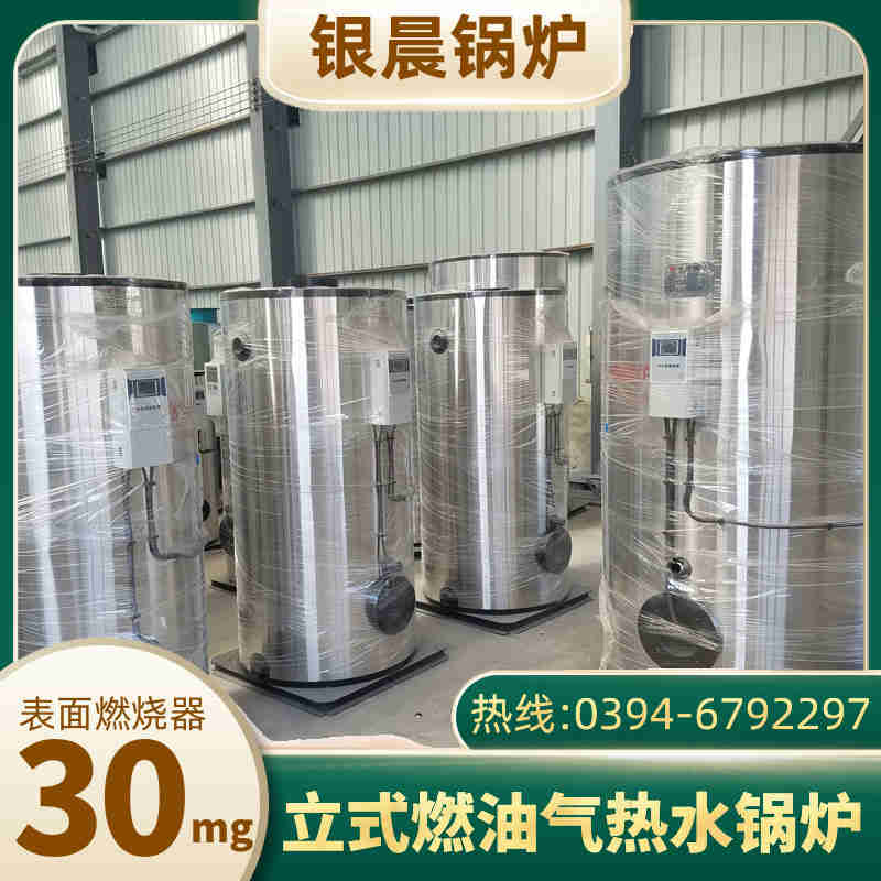 燃油蒸汽发生器(图3)