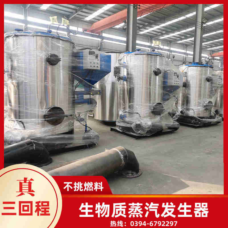 10吨锅炉(图2)
