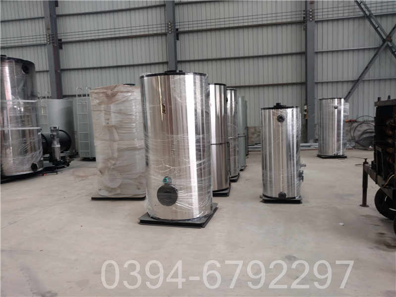 广西12吨燃气热水锅炉(图1)